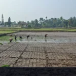 Kemarau Melanda Lebong, Warga Desa Pyangmbik Keluhkan Distribusi Air PDAM Tirta Tebo Emas